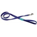 Hondenriem Uni 120cm x 20mm blauw