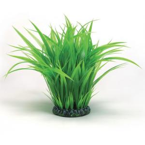 BiOrb grasring groot groen aquarium decoratie