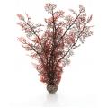 BiOrb koraal medium donkerrood aquarium decoratie