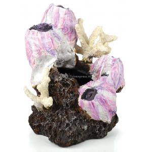 BiOrb ornament eendenmossel roze klein aquarium decoratie